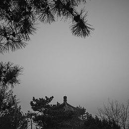 中手游授权INTINY开发互动影像新作 《天呐！我被仙剑包围了》